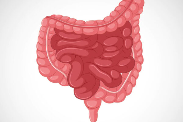 The 3 Foods to Avoid for a Healthier Gut – ScanLab Center